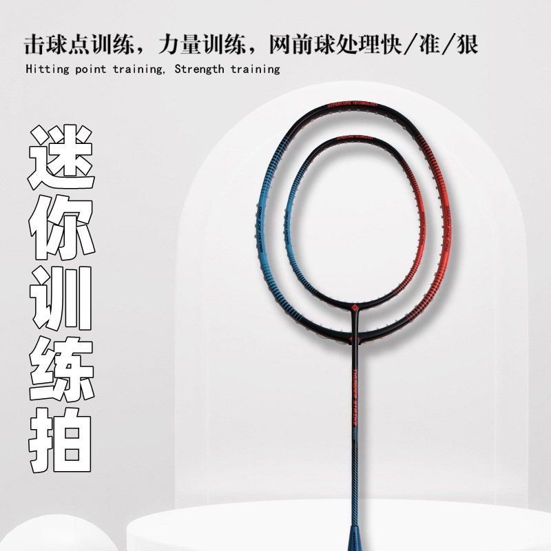 Badminton-Schläger Vollcarbon  – Badminton Photo Bewertung und Preis