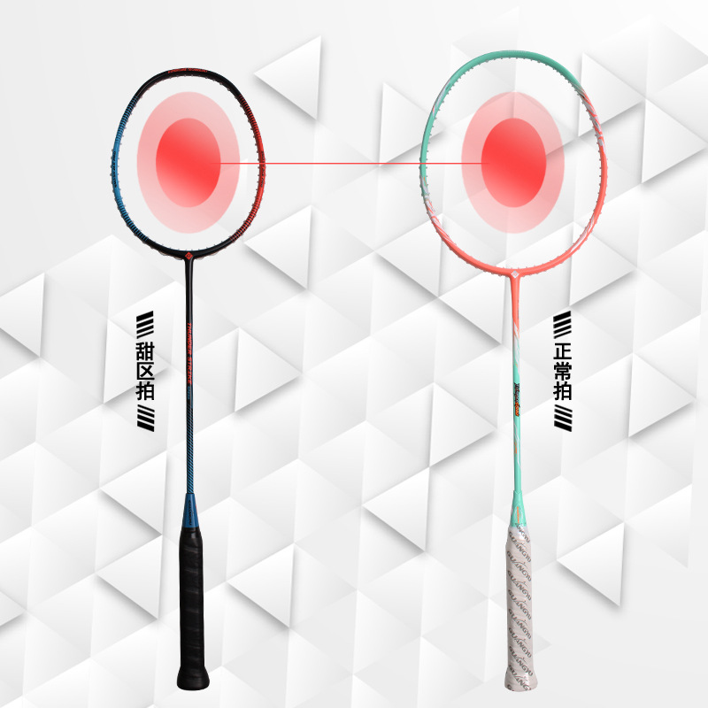 Badminton-Schläger Vollcarbon  – Badminton Photo Bewertung und Preis